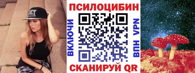 цена наркотик  Покровск  Псилоцибиновые грибы Psilocybine cubensis 